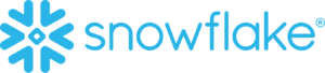 SNOW_BIG